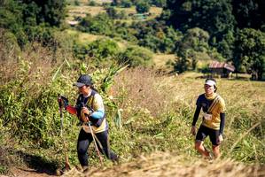 BIB: 
                            <button type="button" onclick="openModal(19060886)" class="btn btn-primary btn-sm float-right btn-popup" data-toggle="modal" data-target=".modal-high-quality">
                        <i class="fas fa-shopping-cart"></i> Add to Cart
                    </button>
                                            <button type="button" onclick="isThisMe(19060886, true)" class="btn btn-success btn-sm float-right btn-popup btn-isme hidden" data-toggle="tooltip" data-placement="bottom" title="นี่คือรูปของคุณใช่ไหม คลิกที่นี่เพื่อเอาเข้าอัลบั้ม">
                        <i class="fas fa-plus"></i> Add to album
                    </button>
                    <button type="button" onclick="isThisMe(19060886, false)" class="btn btn-warning btn-sm float-right btn-popup btn-isnotme hidden">
                        <i class="fas fa-ban"></i> Remove from album
                    </button>